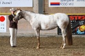 21-ApHC HMC_034